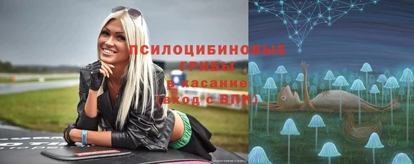 ешки Арсеньев