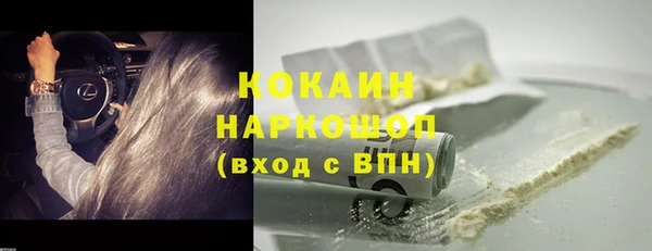 стаф Семилуки